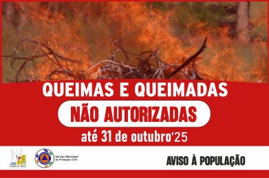 Queimas e Queimadas