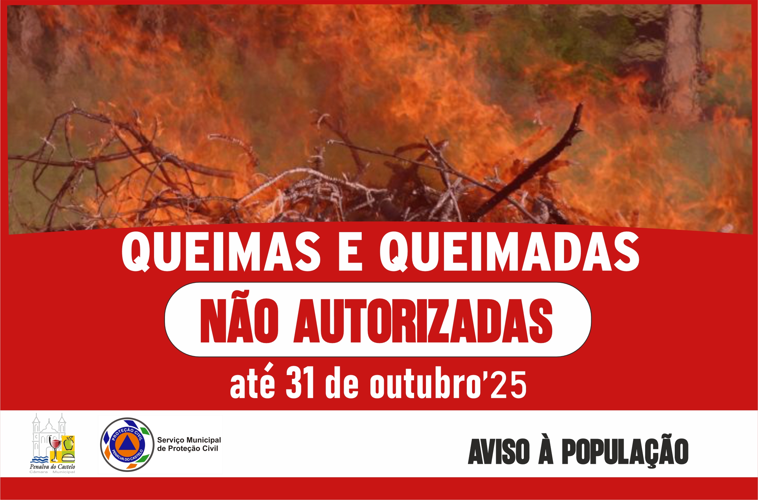 Queimas e Queimadas