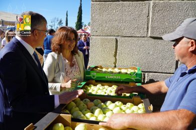 XXIX FEIRA DA MAÇÃ BRAVO DE ESMOLFE