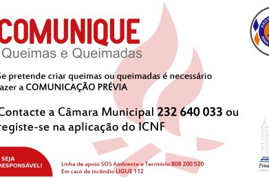 queima_amontoados_banner