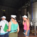 ROTA DA SENHORA DA RIBEIRA VOLTOU A DESTACAR O PATRIMÓNIO, AS TRADIÇÕES E A AUTENTICIDADE LOCAL