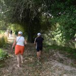 ROTA DA SENHORA DA RIBEIRA VOLTOU A DESTACAR O PATRIMÓNIO, AS TRADIÇÕES E A AUTENTICIDADE LOCAL