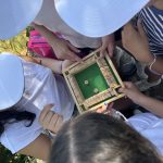 FÉRIAS DE VERÃO'26: QUATRO SEMANAS DE EXPERIÊNCIAS, APRENDIZAGEM E MUITA DIVERSÃO EM PENALVA DO CASTELO