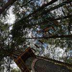FÉRIAS DE VERÃO'26: QUATRO SEMANAS DE EXPERIÊNCIAS, APRENDIZAGEM E MUITA DIVERSÃO EM PENALVA DO CASTELO