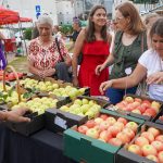 Vinho do Dão e Produtos Locais em destaque em Penalva do Castelo