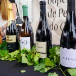 Vinho do Dão e Produtos Locais em destaque em Penalva do Castelo
