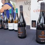 Vinho do Dão e Produtos Locais em destaque em Penalva do Castelo