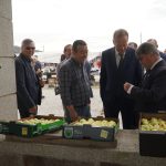 XXX Feira da Maçã Bravo de Esmolfe celebrou tradição, resiliência e produtos de excelência