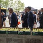 XXX Feira da Maçã Bravo de Esmolfe celebrou tradição, resiliência e produtos de excelência