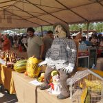 XXX Feira da Maçã Bravo de Esmolfe celebrou tradição, resiliência e produtos de excelência