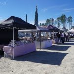 XXX Feira da Maçã Bravo de Esmolfe celebrou tradição, resiliência e produtos de excelência