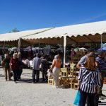XXX Feira da Maçã Bravo de Esmolfe celebrou tradição, resiliência e produtos de excelência