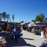 XXX Feira da Maçã Bravo de Esmolfe celebrou tradição, resiliência e produtos de excelência